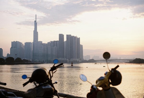 Animaux de compagnie et camping dans la Loire : mode d'emploi